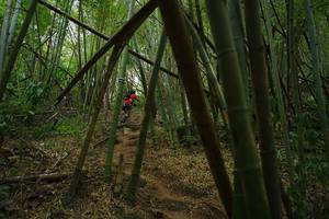 BIB: 
                            <button type="button" onclick="openModal(22242021)" class="btn btn-primary btn-sm float-right btn-popup" data-toggle="modal" data-target=".modal-high-quality">
                        <i class="fas fa-shopping-cart"></i> Add to Cart
                    </button>
                                            <button type="button" onclick="isThisMe(22242021, true)" class="btn btn-success btn-sm float-right btn-popup btn-isme hidden" data-toggle="tooltip" data-placement="bottom" title="นี่คือรูปของคุณใช่ไหม คลิกที่นี่เพื่อเอาเข้าอัลบั้ม">
                        <i class="fas fa-plus"></i> Add to album
                    </button>
                    <button type="button" onclick="isThisMe(22242021, false)" class="btn btn-warning btn-sm float-right btn-popup btn-isnotme hidden">
                        <i class="fas fa-ban"></i> Remove from album
                    </button>